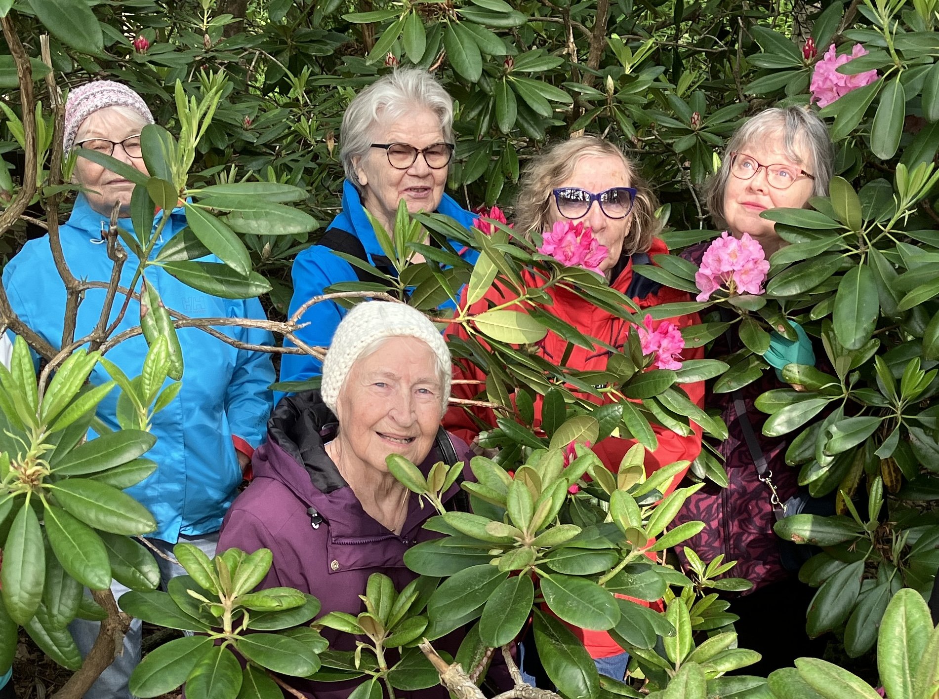 Kuva. Klikkaa kuva suuremmaksi.