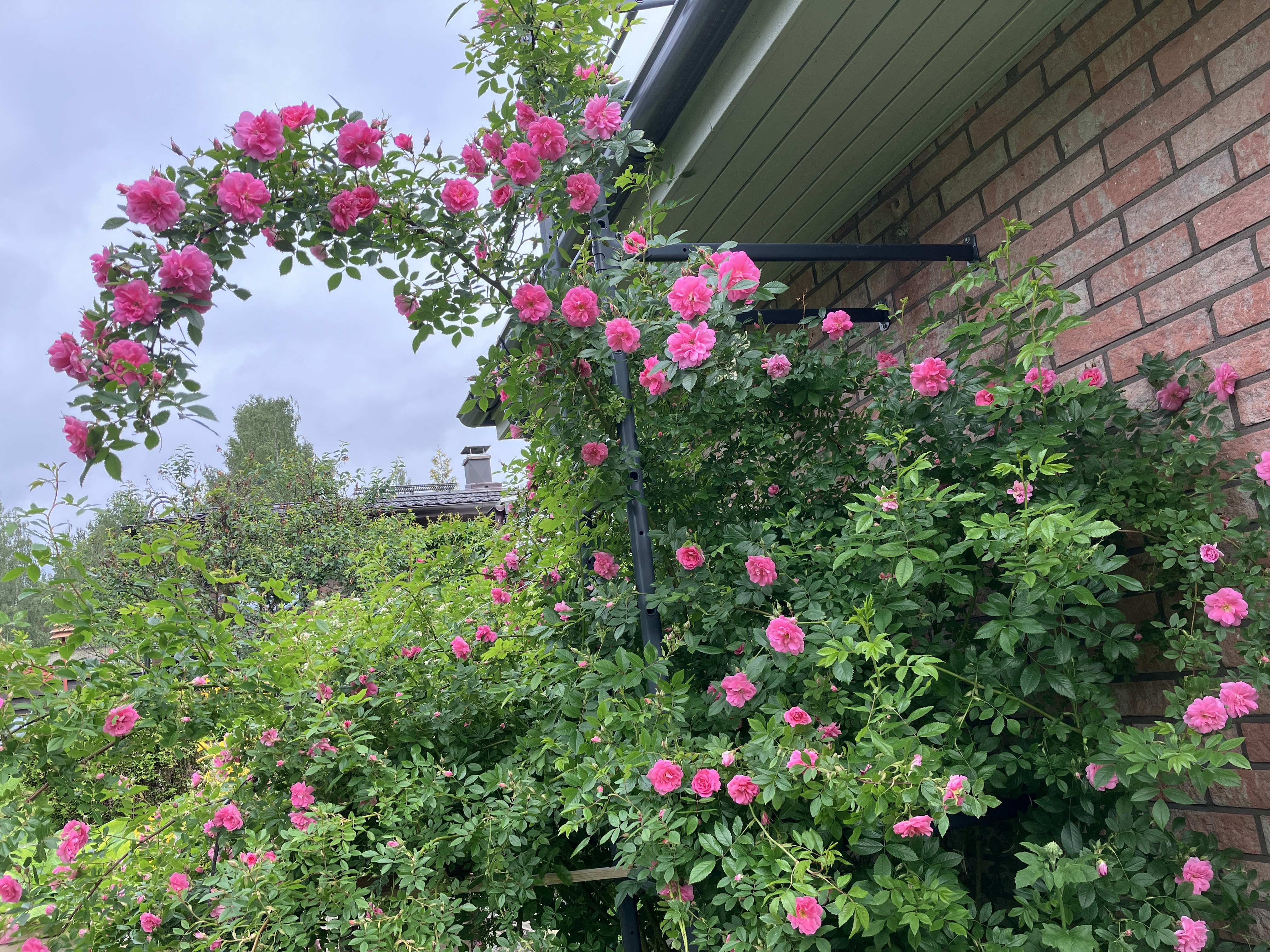 Kuva. Klikkaa kuva suuremmaksi.