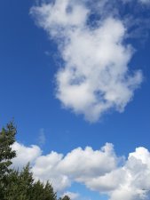 Heljä Rahikkala