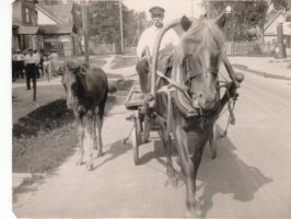 Antti Rautiainen hevosineen Raivolan raitilla (Kuva Antti Rautiainen)