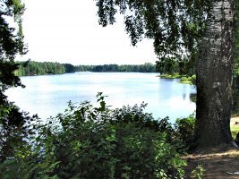 Raivolan kylään Soltikovit perustivat kosken niskaan suurehkon sahan (joki padottiin ja silloin syntyi Roslivon suvanto). Myöhemmin tätä kutsuttiin sekä Onkamojärveksi, että Roslivoksi.
