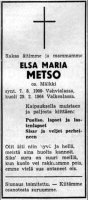 Metso Elsa