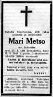 Metso Mari
