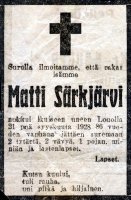 Särkjärvi Matti