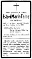 Teitto Esteri