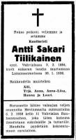 Tiilikainen Antti