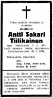 Tiilikainen Antti