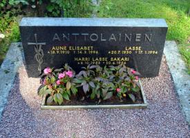 Anttolainen Aune