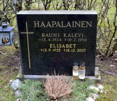 Haapalainen Rauni