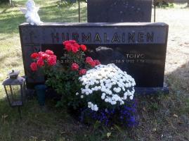 Hurmalainen Toivo