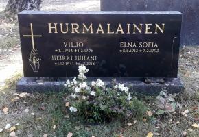 Hurmalainen Viljo