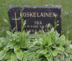 Koskelainen Ida