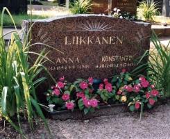 Liikkanen Konstantin 
