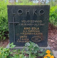 Lohko Aino