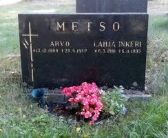 Metso Arvo