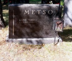 Metso Raine