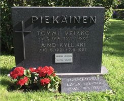 Piekäinen Tommi