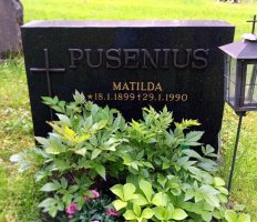 Pusenius Matilda