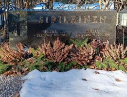 Sipiläinen Elja