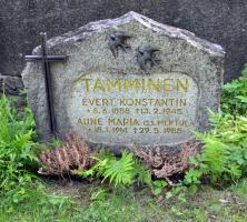 Tamminen Aune