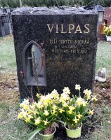 Vilpas Elli