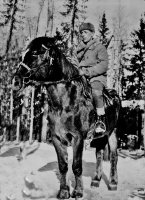 Mauno Purola s.1907 palveli talvi- ja jatkosodissa sananmukaisesti ”monilla tantereilla”. Kiestingin lohkolla ratsu-lähettinä … siis alueella, jossa ei ollut kiinteää rintamalinjaa vaan tukikohta-verkosto.  (Erkki Turkia)