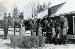 Koululaiset tutustumassa Bremerin tilan lampaanhoitoon