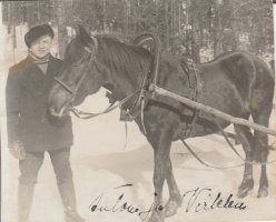 Anton Sorjonen hevosineen
