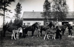 Aleksanteri Venäläinen, myöh. Ojala Nurmiilla