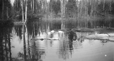 Rakkolanjoen hovin (Harvela rj43) ankkoja. Rakkolanjoen kartano sijaitsi kylän itäosassa joen eteläpuolella. (Ville ja Eeva Kukkosen albumi)