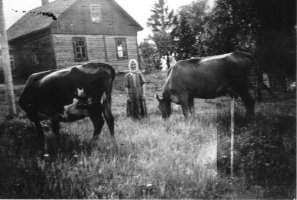 Kalliorannan emäntä Anni Sipiläinen lähdössä evakkoon 1944. 