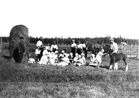 Hämevaaran heinpellolla