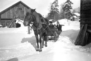 Aholan  pihalla jatkosodan aikana, ehkä 1943. Reessä Aksel, Lempi ja Ulla Ahola. 