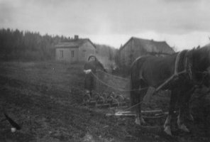 Kuvassa Helmi Koskelainen myöh. Valkki muokkaushommissa. Takana Perämäen talo. (Elina Vilkko)