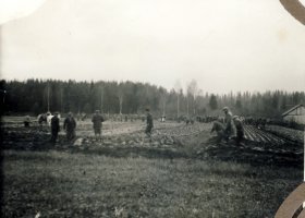 Kyntökilpailun jälkeä Tervajärven Turtian päässä