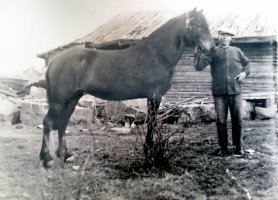 Antti Huovilainen ja Sirkka- hevonen