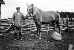 Matti Avelin hevosensa kanssa