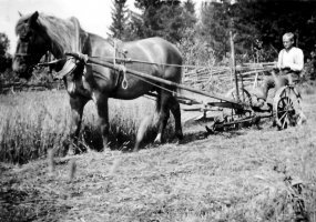 Maatalous koneistuu 1920-luvulla