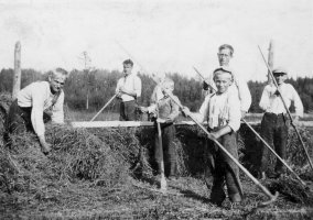 Mattilassa laitetaan heinää haasialle