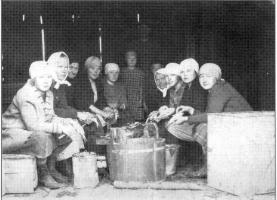 Särkitalkoot Anttilassa