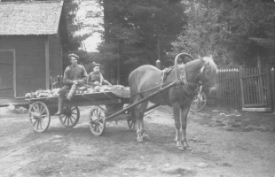 Hjalmar Metso 1887-1930 ja poikansa Reino 1915-1979
