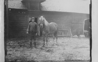 Emil Metso ent. Messo 1903-1980 ja Erkki-hevonen
