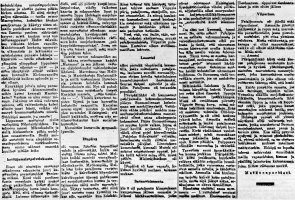 2. osa Karjala-lehdessä julkaistusta kertomuksesta Viipurin suojeluskuntapiirin joukkojen matkasta Helsingissä 16.5.1919 järjestettyyn lippujuhlapäivän paraatiin. (22.5.1919 Karjala n:o 116 s 4, Kansalliskirjaston digitaaliset aineistot)