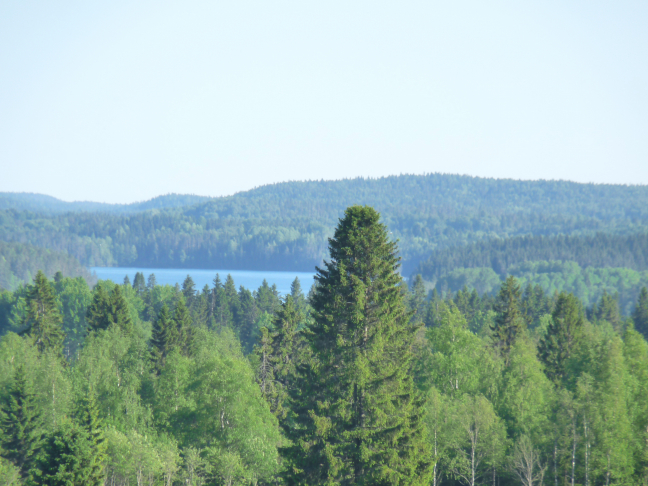 Pirttipohjan mäellä Ruskealassa.