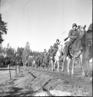 1. Ylimääräisten harjoitusten joukkoja matkalla Uudellakirkolla, 1.10.1939 (SA-kuva)