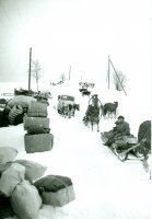 6. Evakkomatkalla, 1940 (SA-kuva)