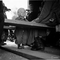 6. Evakkoja Vilppulan asemalla, 23.6.1941 (valokuvaaja Runeberg, SA-kuva)