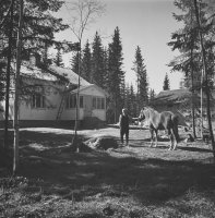 1. Mies ja hevonen talon pihalla Janakkalan Tervakoskella, 1940-luvun loppu (Pekka Kyytisen kokoelma, Kansatieteen kuvakokoelma, Museovirasto)