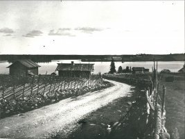 Kuva 1: Tolvajärven rantoja