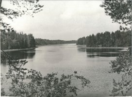 Kuva 4: Tolvajärven rantoja